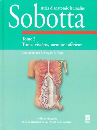 Sobotta vol 2 indonesia pdf 1